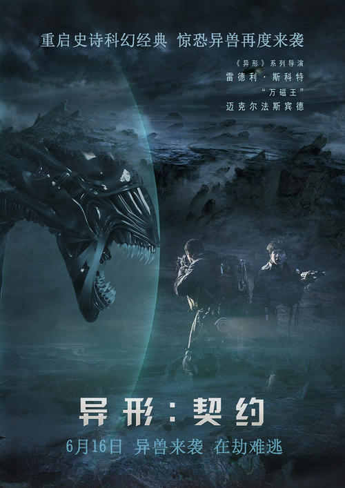 购买假的渔业船舶所有权/证书